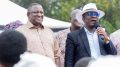 Dangote